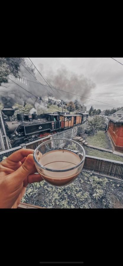Pensiunea Barsan Вишово-Вижнє Екстер'єр фото